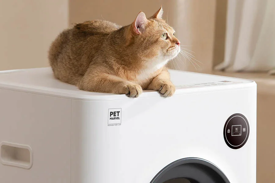 self scooping cat box